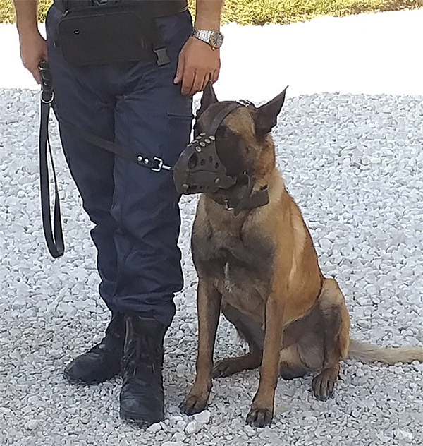 dépannage serrurerie dans le var